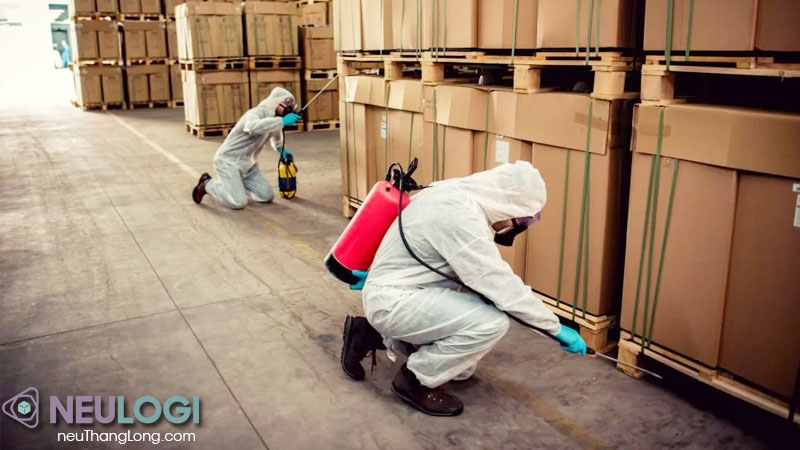 dịch vụ hun trùng của neu thăng long tối ưu chi phí