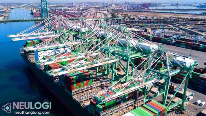 Top 5 đơn vị dịch vụ hải quan và vận tải biển uy tín