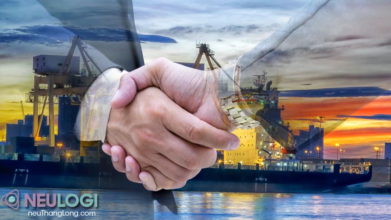 Doanh nghiệp hỗ trợ khai hải quan giá tốt