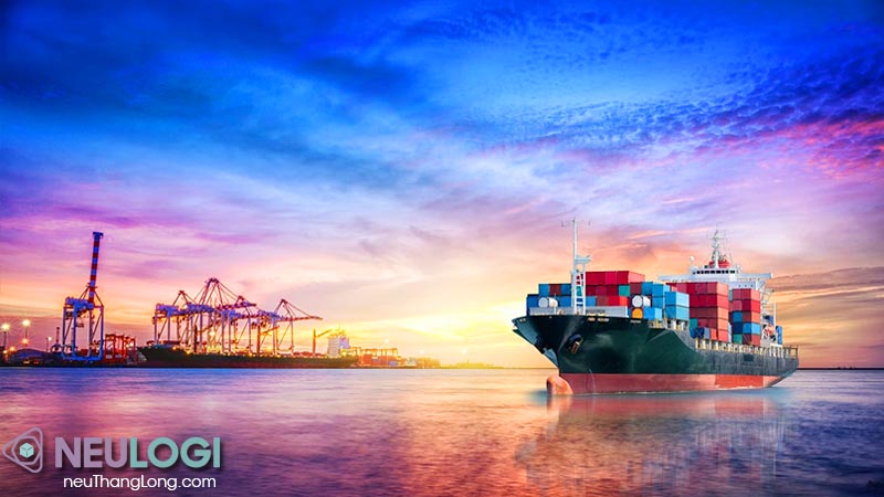 vận tải logistic và dịch vụ neu thăng long đáng tin cậy