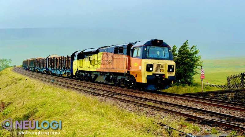 doanh nghiệp vận tải bằng đường sắt chuyên nghiệp