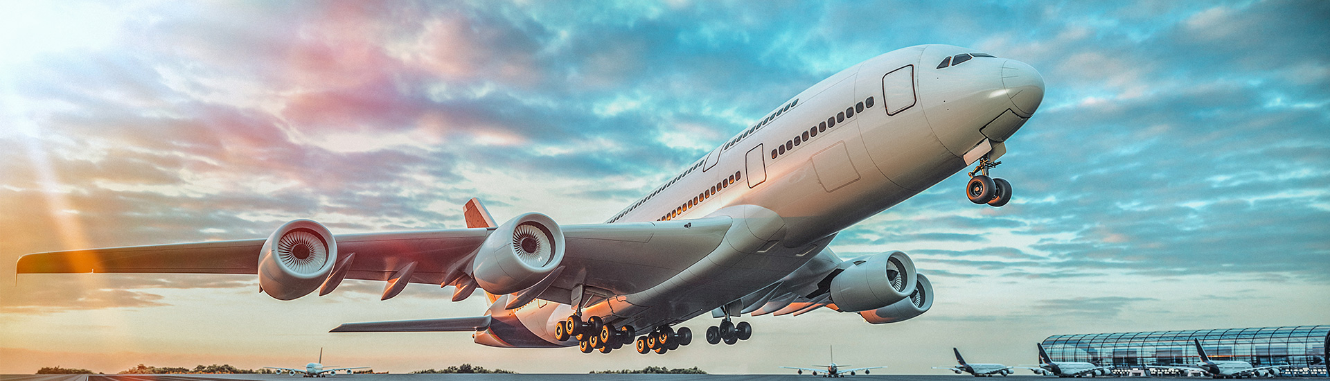 Dịch vụ neu thăng long chuyên nghiệp