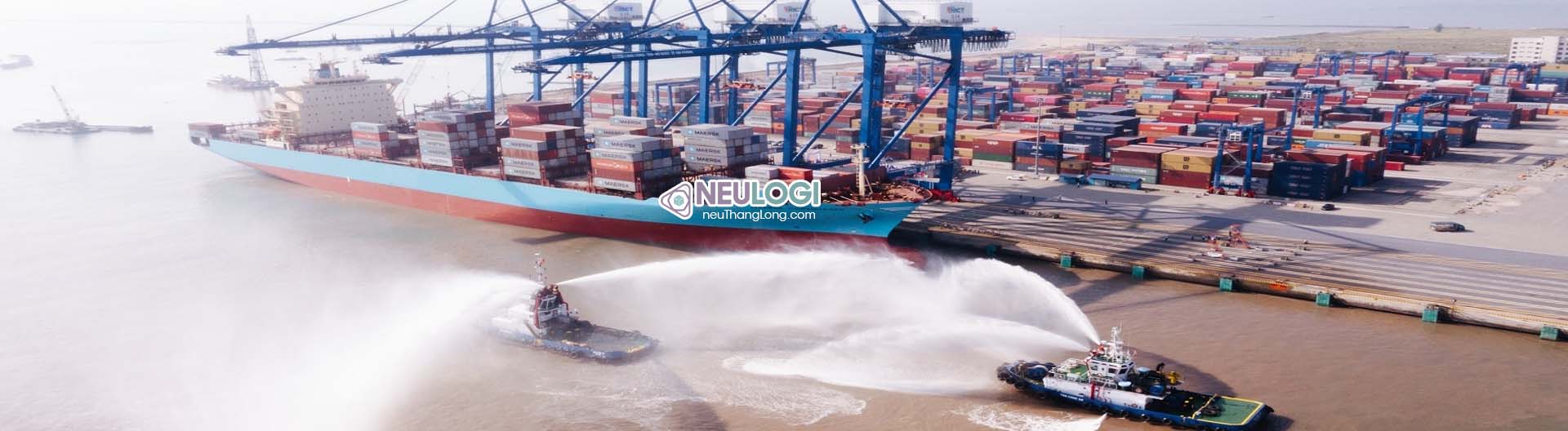 Dịch vụ uy tín, đa dạng của neu thăng long