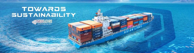 Đơn vị nào thực hiện vận tải quốc tế tại miền bắc