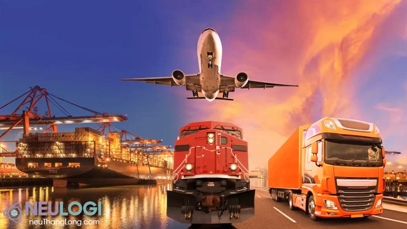 Vận chuyển hàng hóa và triển khai của neu thăng long uy tín