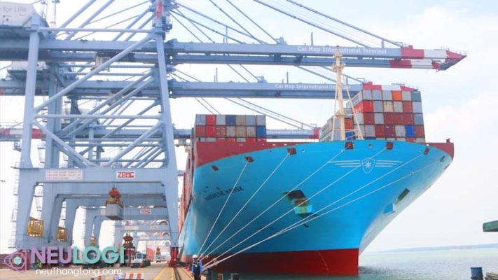 báo giá cước vận tải biển hàng hóa xuất nhập khẩu