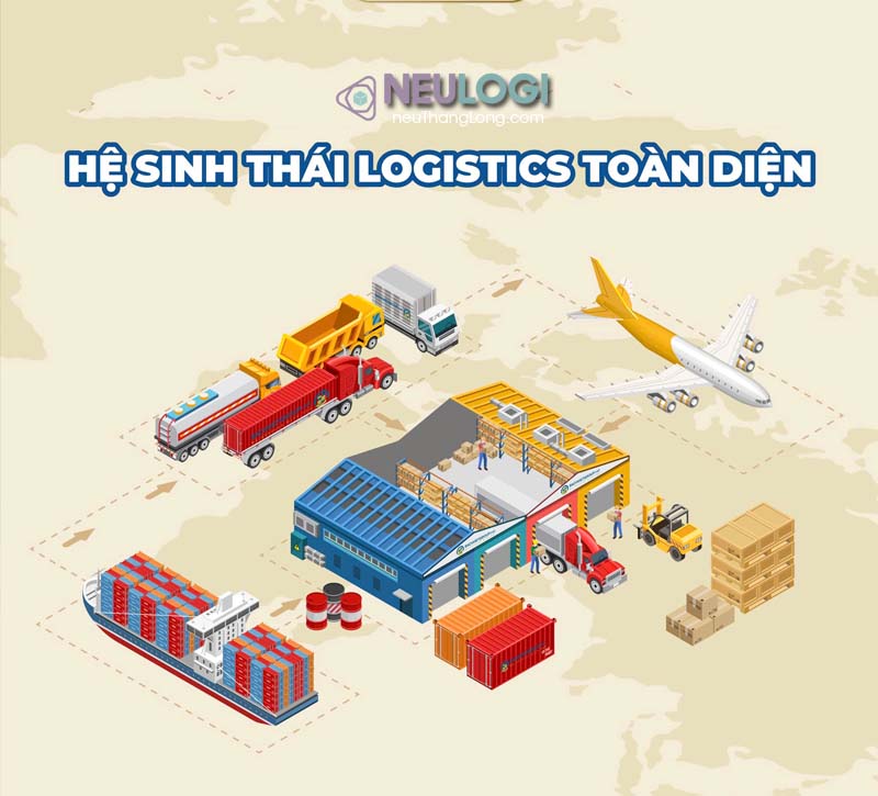 NEU Thăng long là đơn vị vận chuyển đường biển nội địa đa dạng