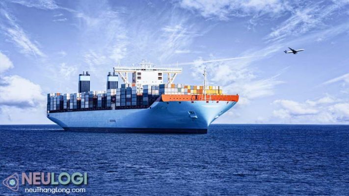 Lựa chọn néu thăng long hà nội đảm bảo tính chất chuyên nghiệp