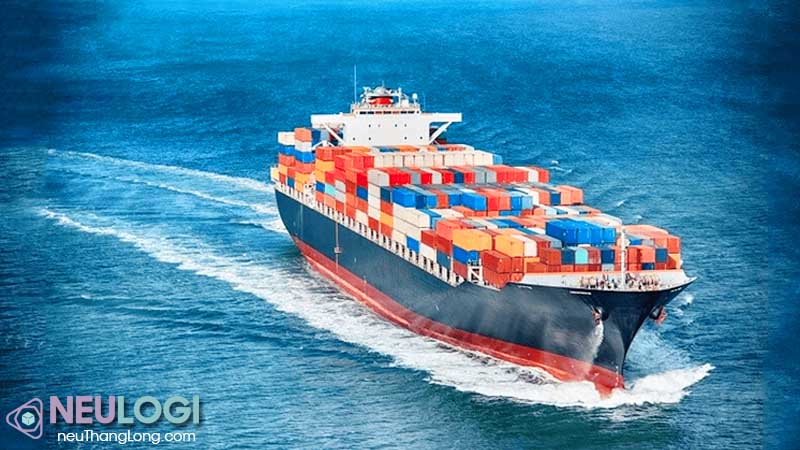 Vai trò vận tải đường biển trong hoạt động xuất nhập khẩu hàng hóa