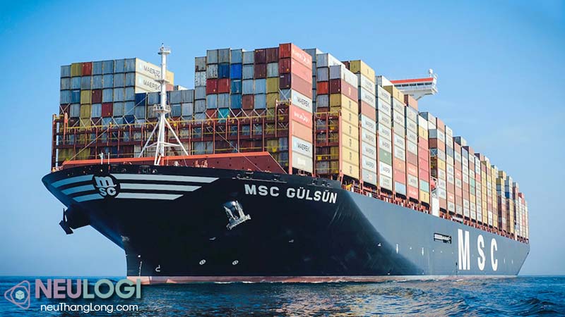 Lựa chọn công ty vận tải đường biển nội địa đảm bảo uy tín, chuyên nghiệp