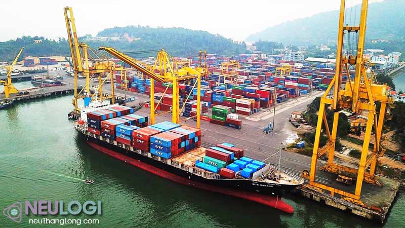 Hiểu bản chất cước phí vận tải biển