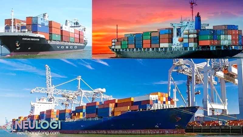 hàng rời vận tải biển chi phí thấp