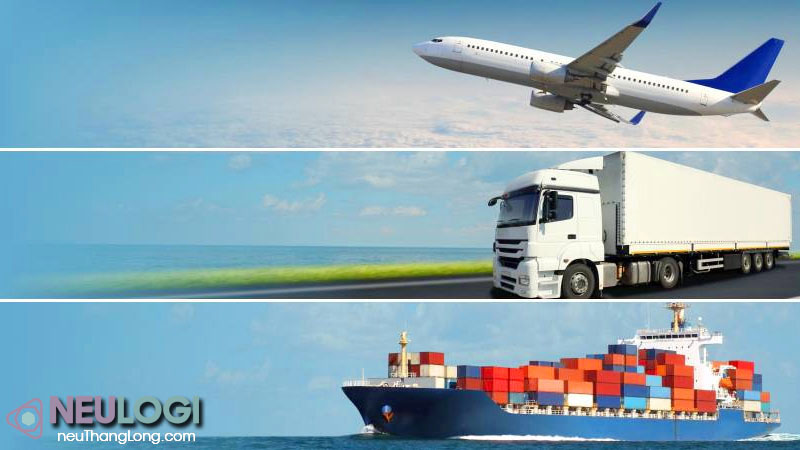công ty vận tải quốc tế đa dạng