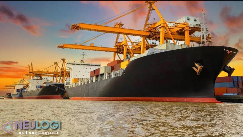 lựa chọn các dịch vụ vận chuyển biển tối ưu như NEU thăng long
