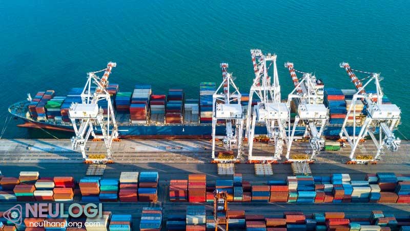 lý do tìm hiẻu những công ty vận tải biển lớn nhất thế giới