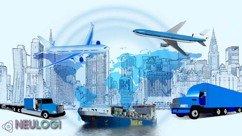 dịch vụ xuất nhập khẩu và vận tải biển nhanh chóng