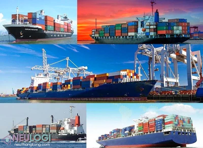 Công ty vận tải quốc tế và nội địa đường biển đáng tin cậy cho khách hàng xuất nhập khẩu