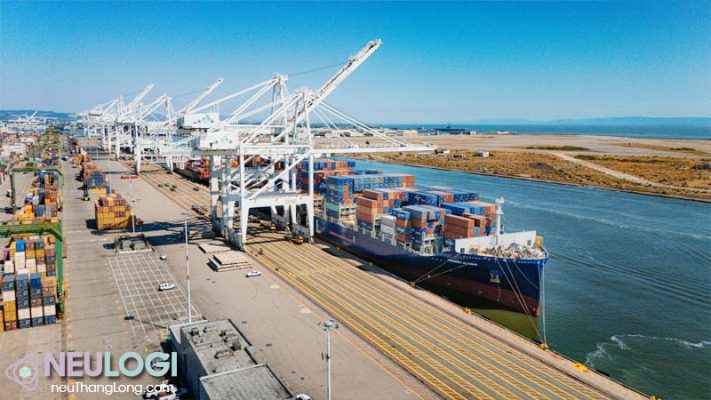 Tạo tính chủ động trong kế hoạch vận chuyển hàng hóa bằng đường biển của bạn