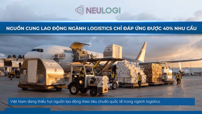 Đánh giá về nhu cầu nhân lực logistics
