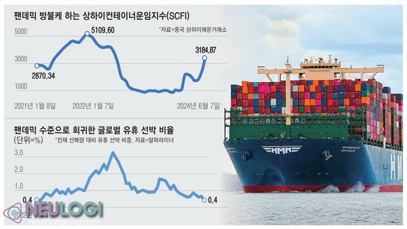 NEU Logi hướng dẫn cách tối ưu chi phí vận tải hàng hải