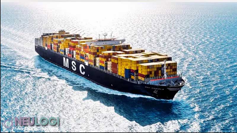 NEU Logi - vận tải hàng hóa quốc tế uy tín