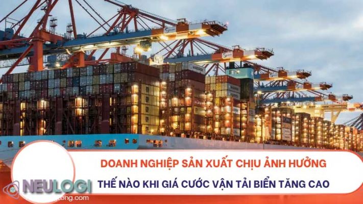 Bối cảnh giá cước vận chuyển đường biển đang gia tăng