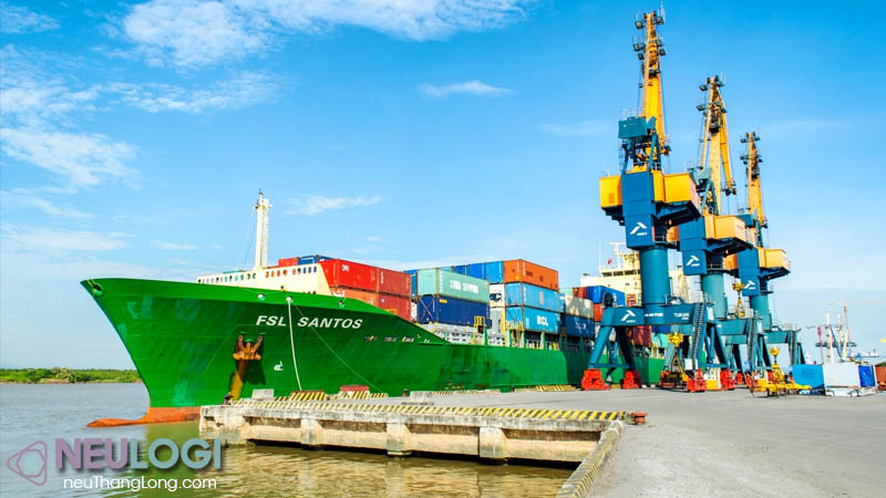 Top những công ty vận tải biển lớn nhất Việt Nam hiện nay