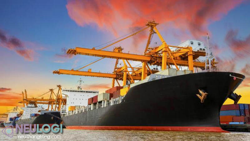 Cước vận tải biển O/F và phí chứng từ (O/F, Documentation)