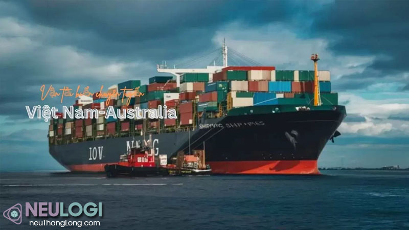Những cái tên quan trọng trong dịch vụ vận tải đường biển ở australia
