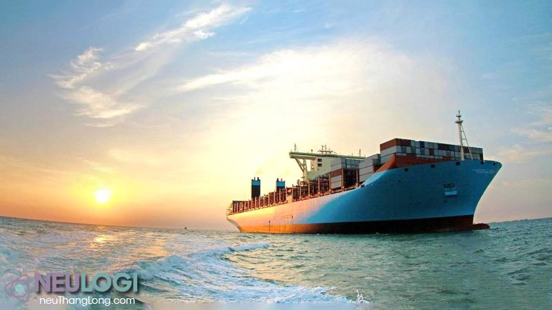 Vận chuyển động vật sống trên tàu biển là gì?