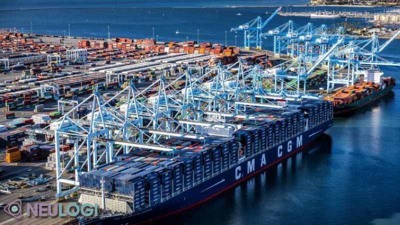 Cách lựa chọn giải pháp tối ưu nhất với nhu cầu xuất nhập khẩu hàng hóa của bạn
