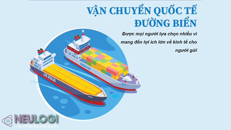 Dịch vụ vận tải đường biển quốc tế của NEU Logi gồm những gì?