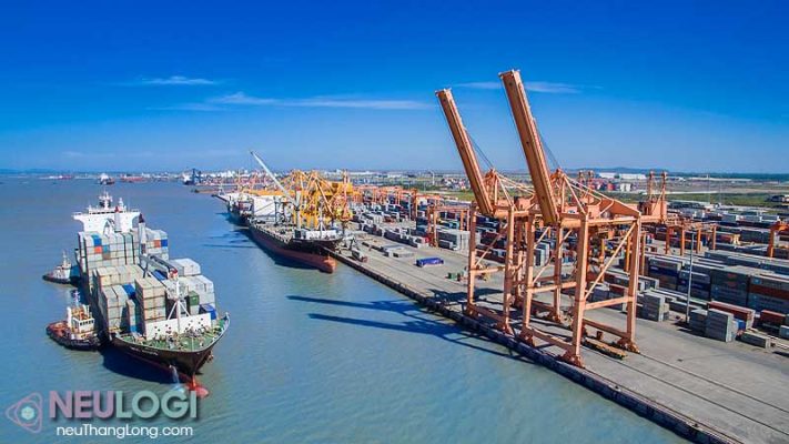 Cảng nước ta phục vụ ngành vận chuyển đưởng biển nội địa, quốc tế đa dạng