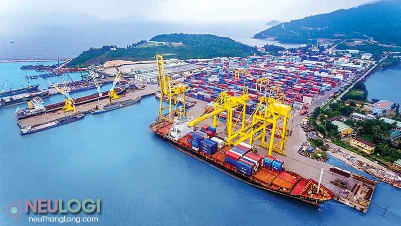 dịch vụ hàng hải của neu logi giúp khách hàng tối ưu chi phí