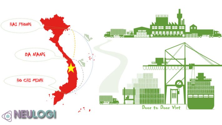 Các hãng tàu nội địa có vai trò như thế nào?