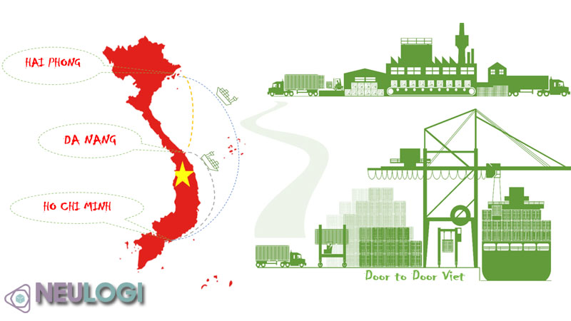 Các hãng tàu nội địa có vai trò như thế nào?