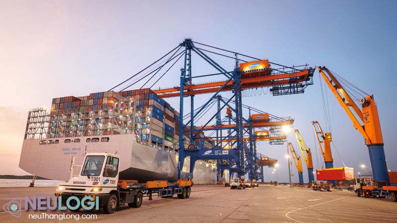 Dịch vụ logistics và giao nhận phong phú