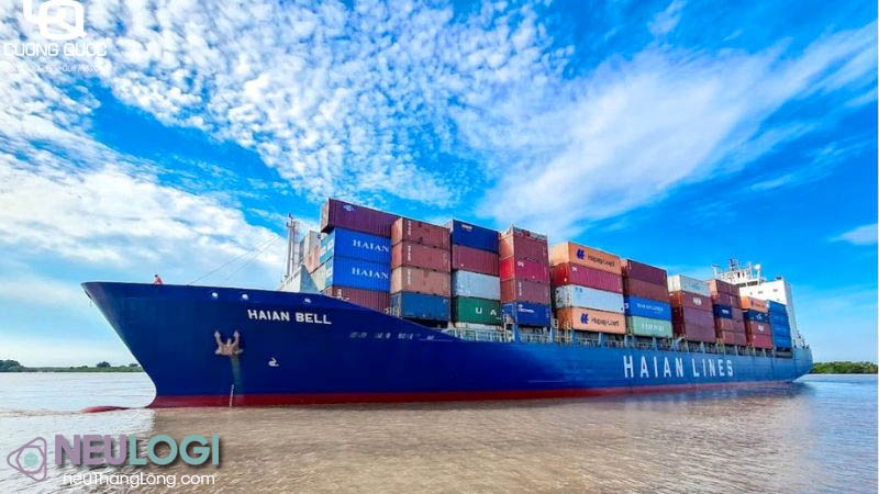 Khái niệm và vai trò của hãng tàu nội địa Biển Đông