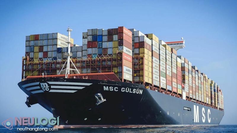 Xu hướng phát triển của tàu container trong tương lai