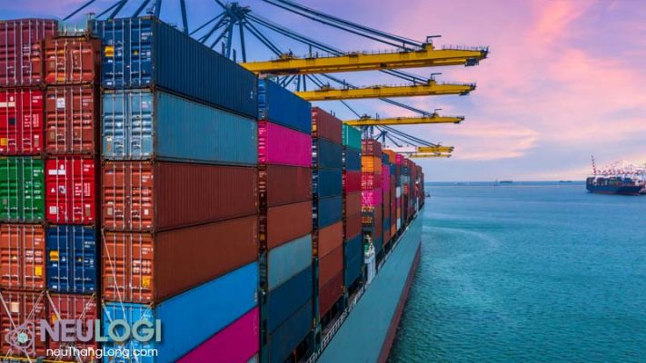 Một số lưu ý khi tra cứu container online