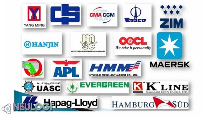 Vai trò của các hãng tàu quốc tế tại Việt Nam trong xuất nhập khẩu
