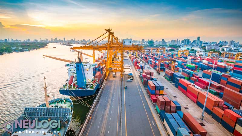 Tổng quan về các hãng tàu quốc tế tại Việt Nam