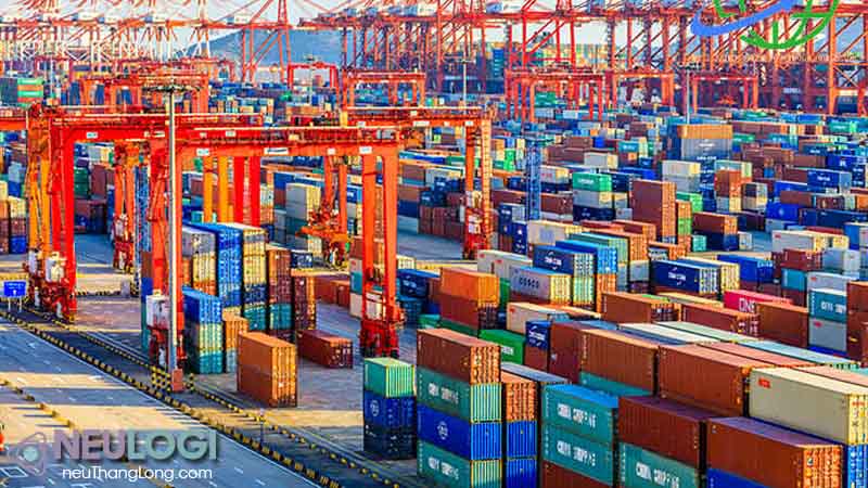 Quy trình hun trùng hàng xuất khẩu