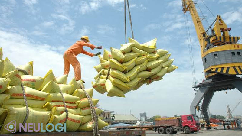 Vì sao nên sử dụng dịch vụ vận chuyển quốc tế tại Hải Phòng của NEU Logi?