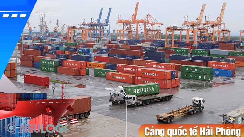 NEU Logi – đồng hành cùng doanh nghiệp xuất nhập khẩu