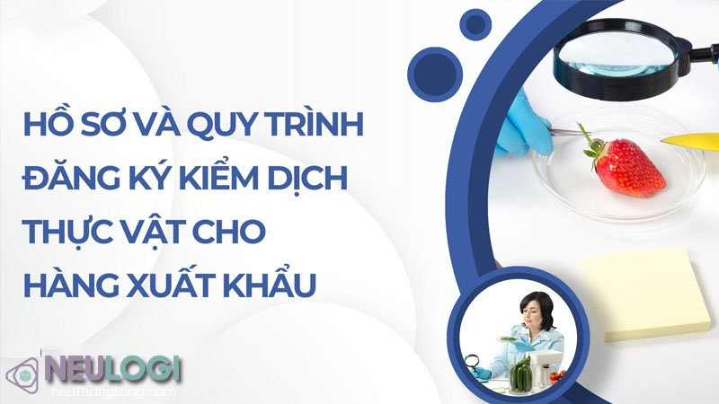 Những lưu ý khi làm kiểm dịch nông sản xuất khẩu