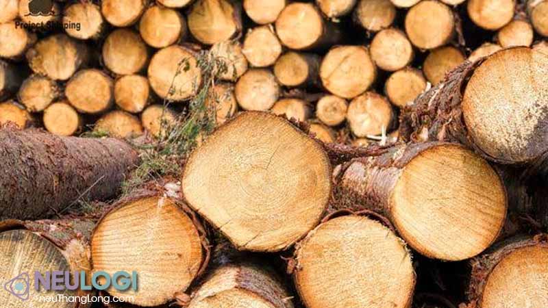 Hồ sơ nhập khẩu gỗ tự nhiên cần chuẩn bị