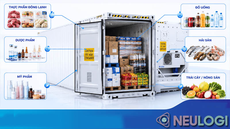 Vận chuyển hàng bằng container lạnh phù hợp những mặt hàng nào
