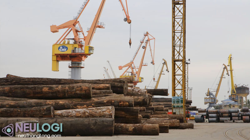 Lưu ý khi nhập khẩu gỗ tự nhiên bằng đường biển